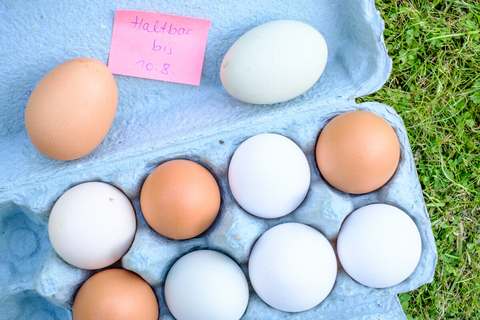 Frische Eier im Karton
