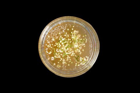 Holunderblütengelee mit Blüten im Glas, von oben