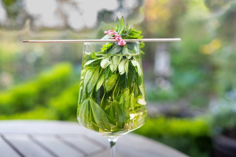 rischer Waldmeister zieht in Weißwein – angesetzt für Maibowle