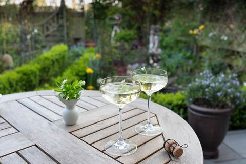 Waldmeisterbowle im Glas auf Gartentisch mit grüner Kulisse
